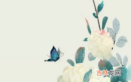 女孩取名:2020年12月20号出生的女孩如何取名字有气质