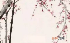 2020年12月28号出生的女孩取什么名字文雅，宜用什么字