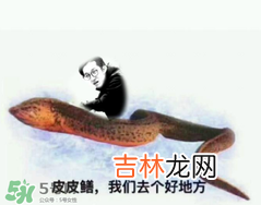 黄鳝表情包 黄鳝我们走表情包