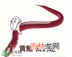 黄鳝表情包 黄鳝我们走表情包