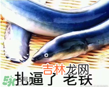 黄鳝表情包 黄鳝我们走表情包