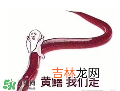 七彩皮皮鳝我们往死里钻是什么?意思?七彩皮皮鳝我们去个好地方是什么?意思?