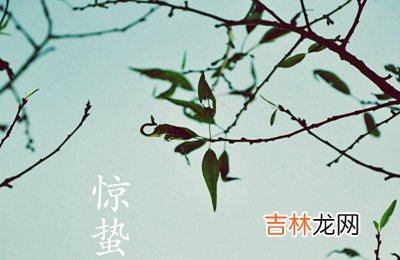 2021牛年惊蛰后一天正月二十三出生的女孩怎么起名？