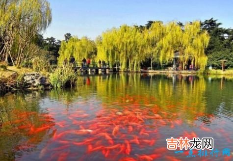 杭州西湖十景介绍 西湖十景有哪些