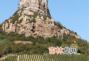 世界上最适合种植酿酒葡萄的4个地区