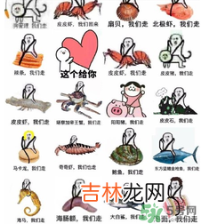 用皮皮虾骂人什么意思？骂人皮皮虾什么意思？
