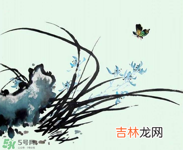 空谷幽兰是什么？书？空谷幽兰讲的是什么？？
