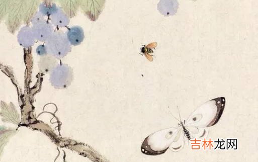2020庚子年农历八月初二出生的女孩取什么名字好，五行属什么