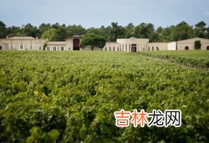 法国酒庄排名 法国十大最美酒庄