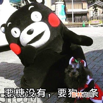 不给糖就捣蛋无水印表情包 万圣节不给糖就捣蛋
