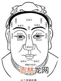 杨八姐算命地址_面相的十二宫指的是什么
