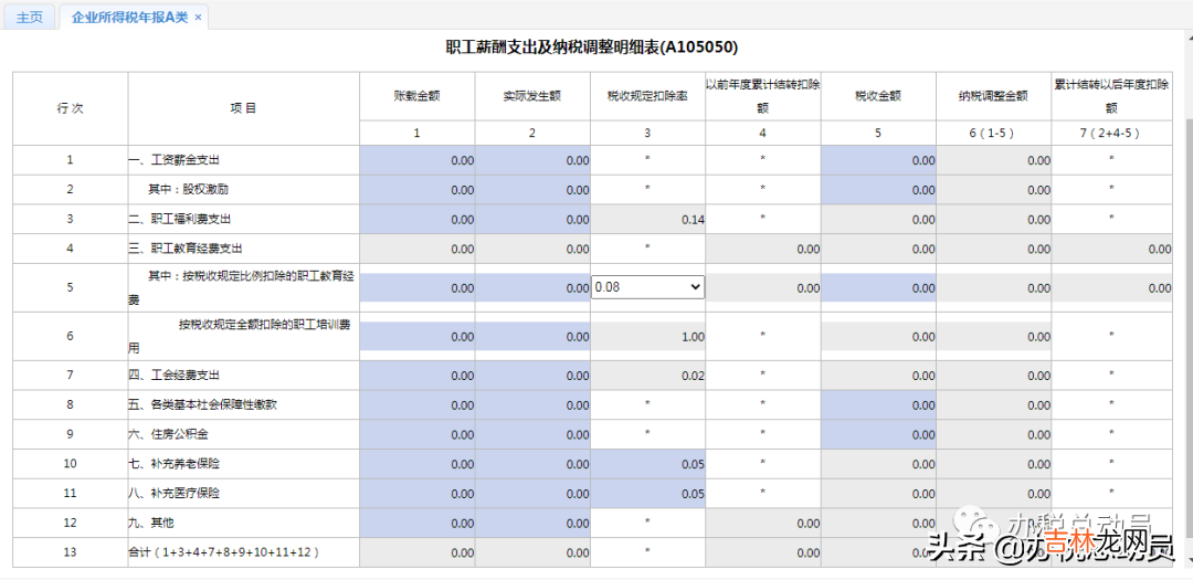 工资薪金个人所得税 工资薪金纳税调整表如何填写