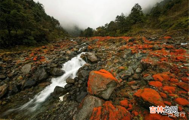 雅安十大旅游景点大全 雅安有什么好玩的地方