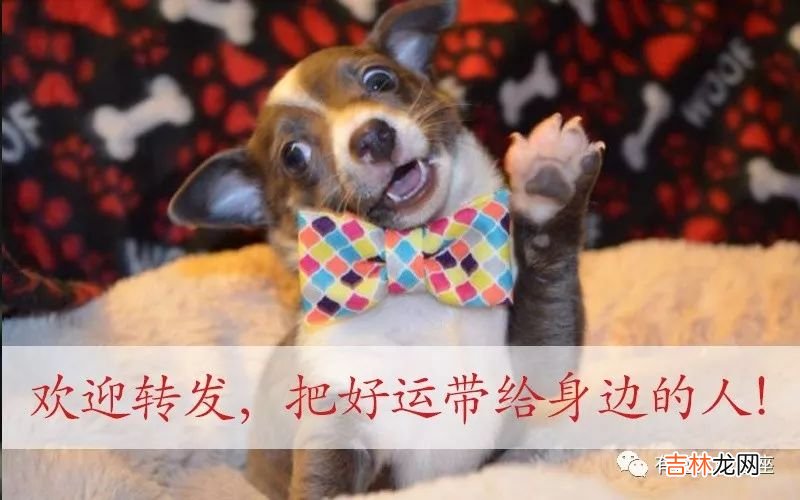 12星座谁最聪明排名