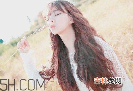 女生说yp到底什么意思？女生发消息yp什么意思？
