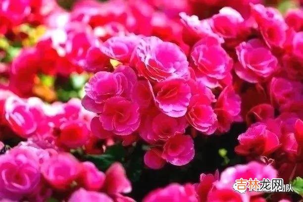 建设工程施工管理2021教材 建设工程施工合同纠纷