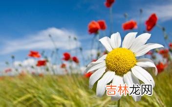 哪几个算命软件好_八字看你的今生财运