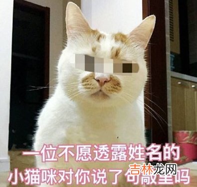 敲里lailai是什么？意思？敲里lailai表情包无水印