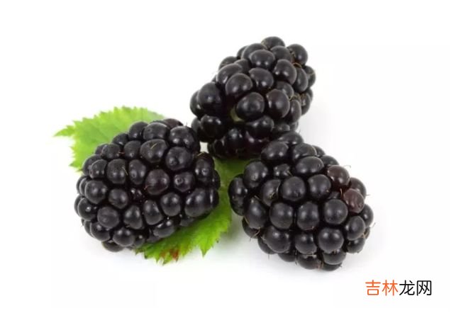 十大高抗氧化食品 枸杞位居第一