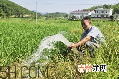 女生说抽水什么意思？女生发消息想抽水什么意思？