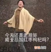 养生朋克什么意思？怎么做一个养生朋克？