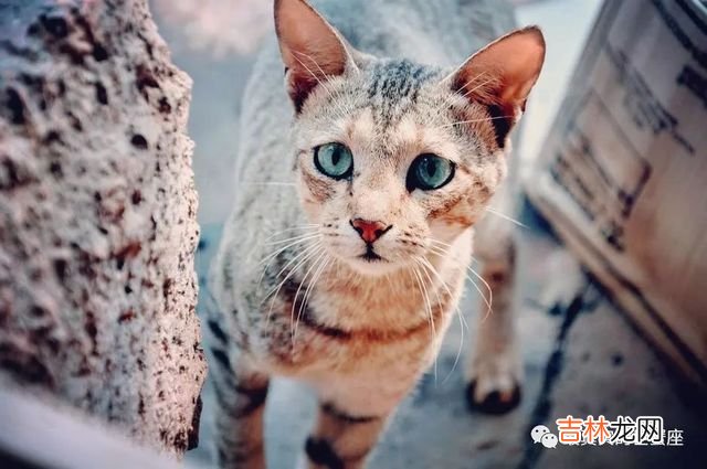 和巨蟹男睡过以后