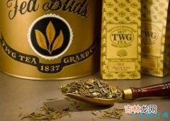 世界上最贵的茶TOP5 熊猫屎和黄金芽茶叶上榜