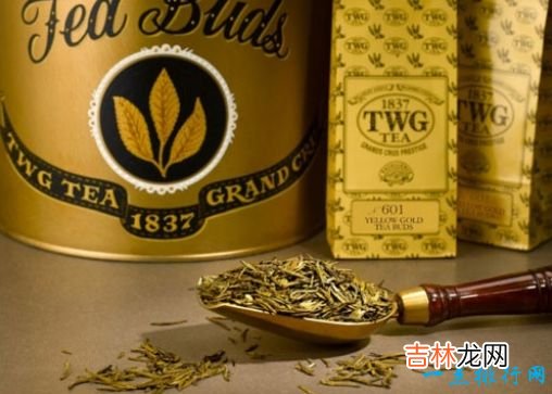 世界上最贵的茶TOP5 熊猫屎和黄金芽茶叶上榜