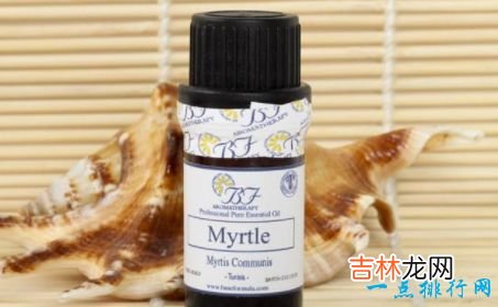 十大香薰精油品牌 汇美舍精油排第一