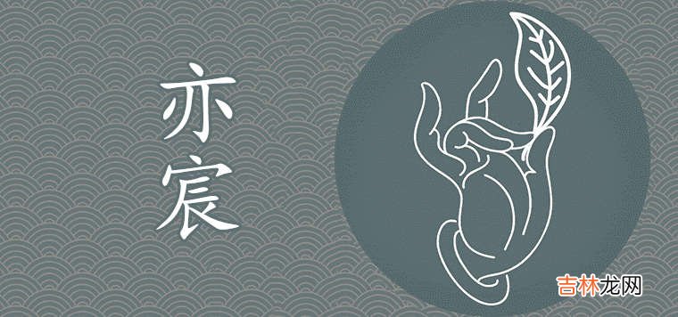 亦宸名字是不是取大了