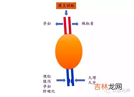 痔疮图片和正常图片的对比 痔疮图片和正常图片