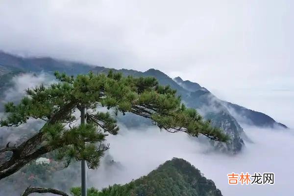 上善若水的意思善的意思 厚德载物