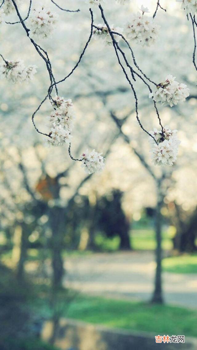 天蝎座命中注定的真爱 真爱不能伪装