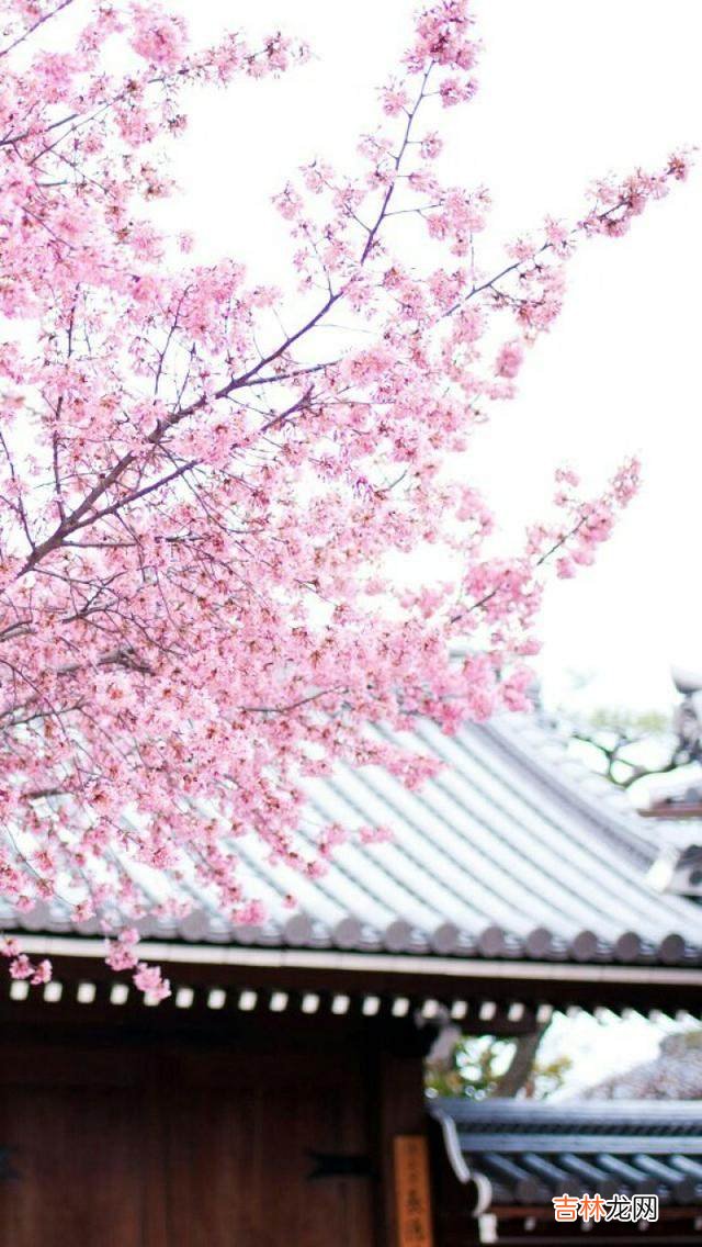 天蝎座命中注定的真爱 真爱不能伪装