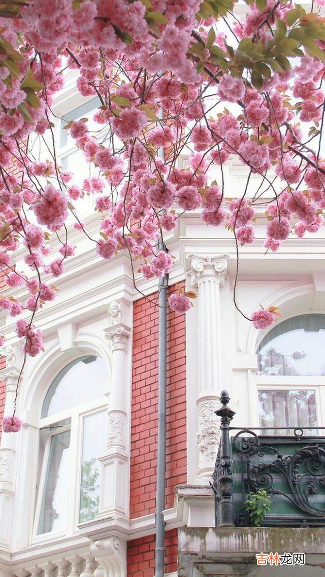 天蝎座命中注定的真爱 真爱不能伪装