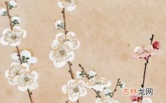 2020年5月31号闰四月初九日生的男孩命运好吗，取什么名字好