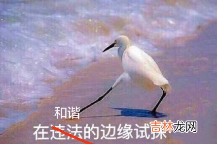 在违法的边缘试探原图 在违法的边缘试探表情包