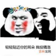 网络语bot是什么梗