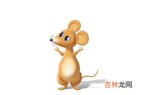72年属鼠2020年的运程