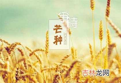 2020年芒种出生缺木男孩取名字,缺木男孩起名用字推荐