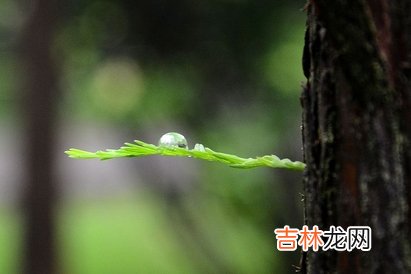 天秤男最稀罕的星座女