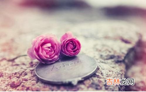 双子男只是玩玩的表现