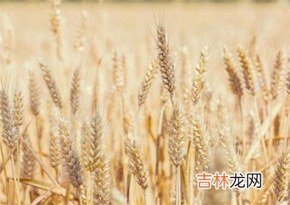 2020年6月5日芒种出生的男孩独特新颖高分名字推荐！