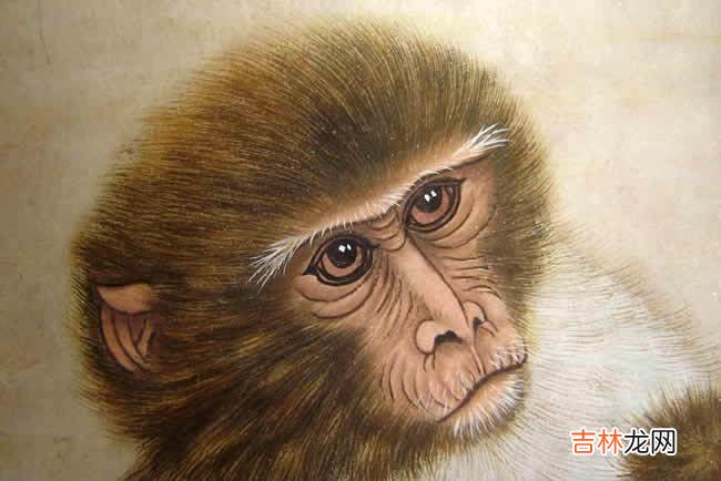 2020年属猴人的全年运势