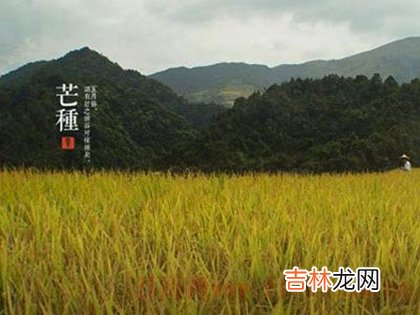 2020年芒种出生的宝宝名字,芒种出生命硬吗？