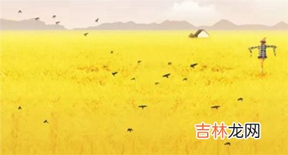 2020年芒种出生的宝宝名字,芒种出生命硬吗？