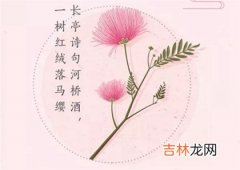 2020年芒种出生的男孩新潮可爱叠字的乳名小名！