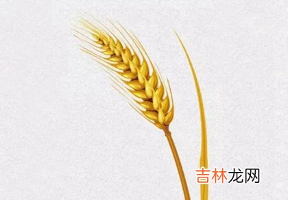 2020年6月5日芒种出生男宝宝霸气优秀名字推荐!