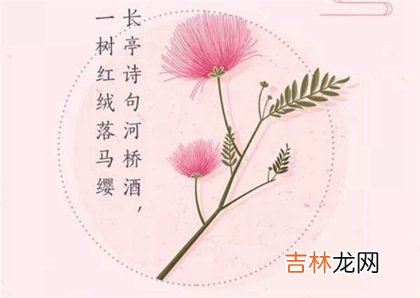 6月5日 2020年芒种出生宝宝好听个性乳名推荐!