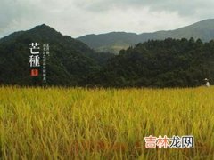 2020年6月5日芒种出生鼠宝宝五行缺什么,起名宜用字解析